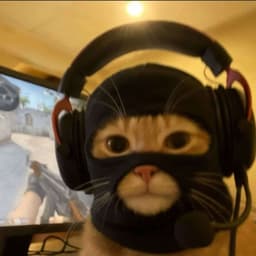 Mattccc