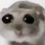 MeepoSolo