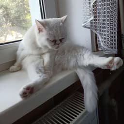 rtrdssm