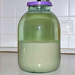 samog0nchik
