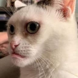 Xapi