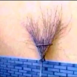 papiha0