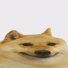 MrNoskill1