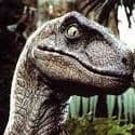 statedraptor