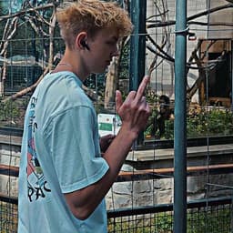 Dominox_YT