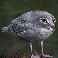 M1n1C