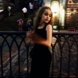 flashZWER
