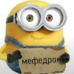 xamainer