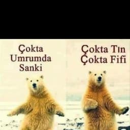 AyteKING