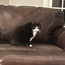 memo