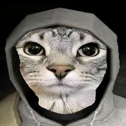 stylefrog