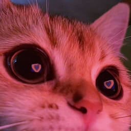 S3X_S3X_S3X