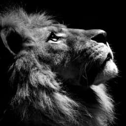 _7PATRON7_