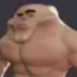 FlexNationS