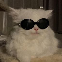 -ayeee