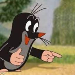 majszu