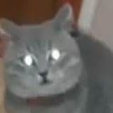 ChipaQu