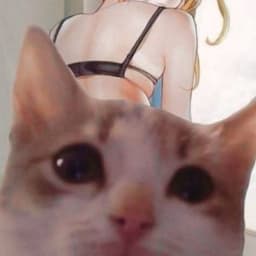 lum565