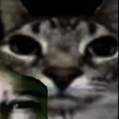 Bot_Chicken