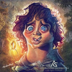 FrodoBaggin_