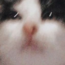 hyeon0