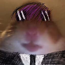 digo_p