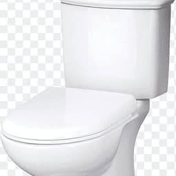 scholja