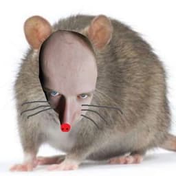 Dr_Haxx_