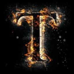 T1pix1