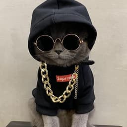 PudingSOLO