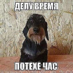 kexiB_Q