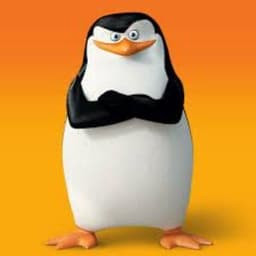 skipik3