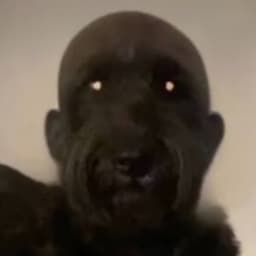 -pipeek