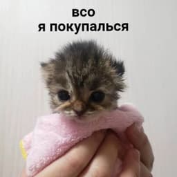 xowg_