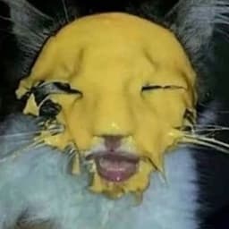 Bean_Bandit_