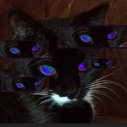 qwizyy121