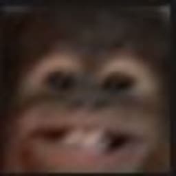 perofack_y