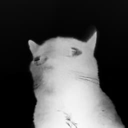 s1m0Nv-