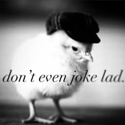 k0rpsebunnz