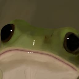KermitFroga