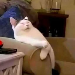 _m1sc_