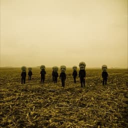 XX_Collapse