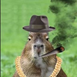 capybaraaaa