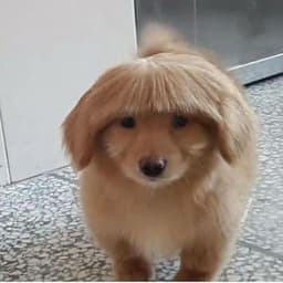 wejczu