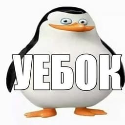 Puk_992