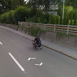 BotDejwit