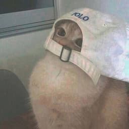 pr1g0r1shNya