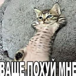 -Valuev-