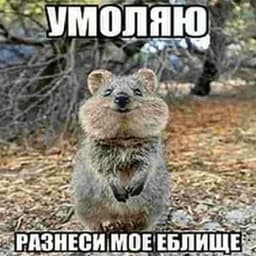 Spok1moki