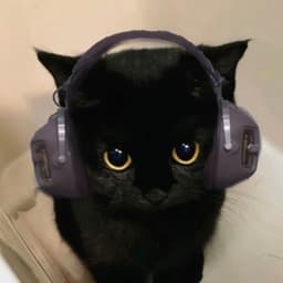 yndpm